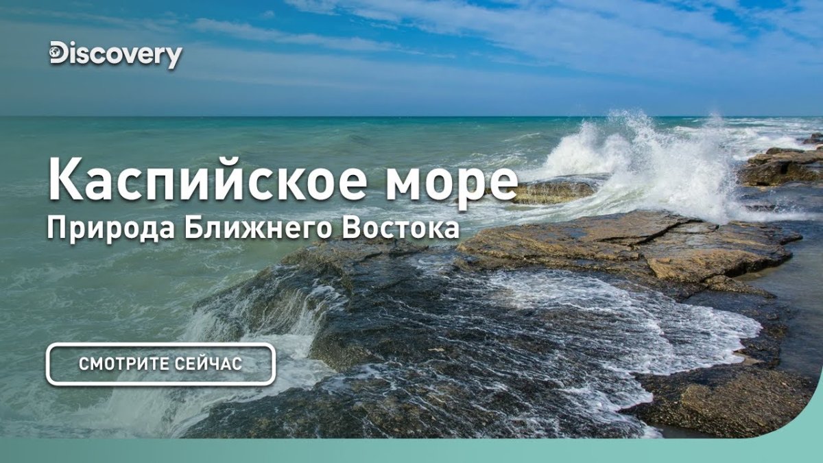 Каспийское море природа ближнего Востока Discovery