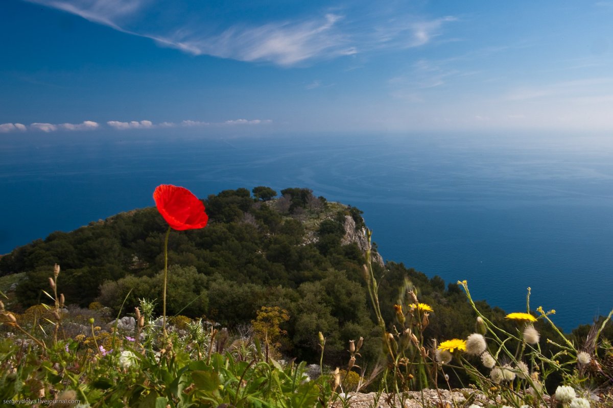 Весна в Крыму