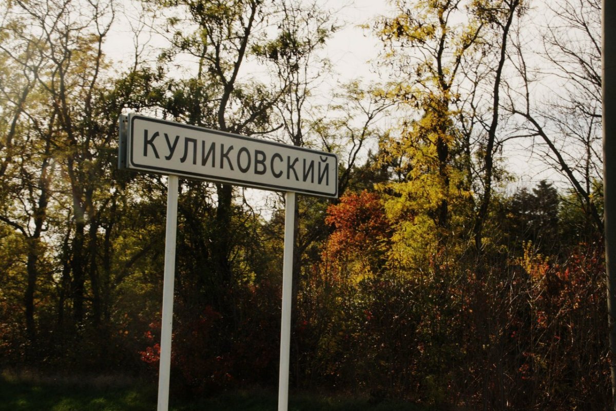 Куликовский фамилия