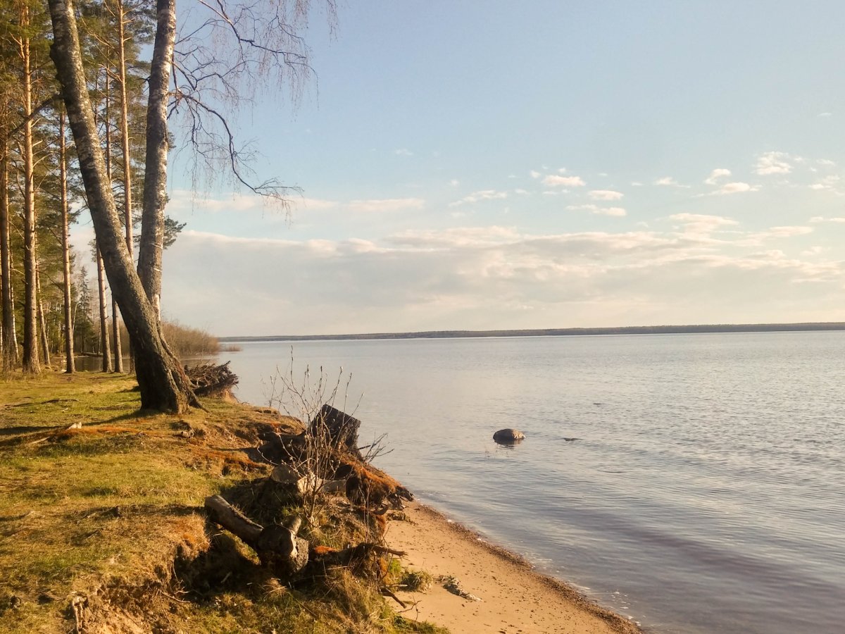 Рыбинское водохранилище Рыбинск