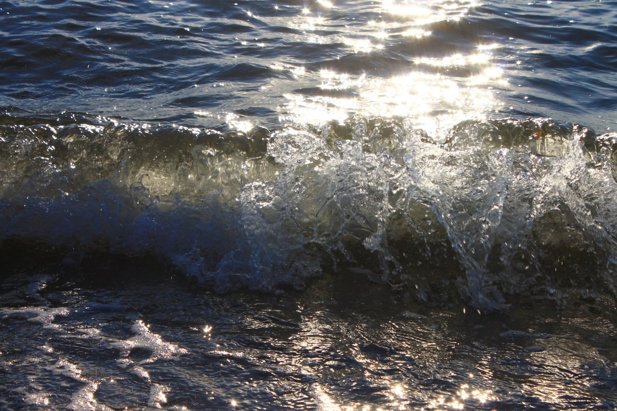 Балтийское море вода