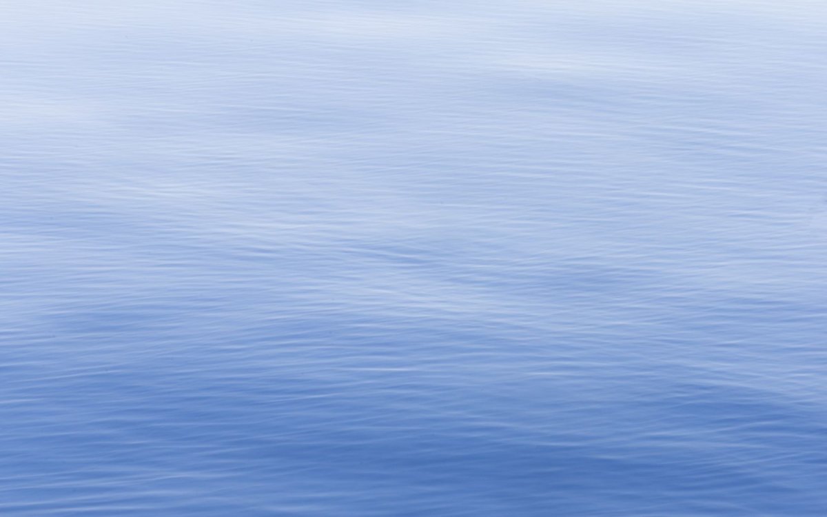 Водная гладь туман