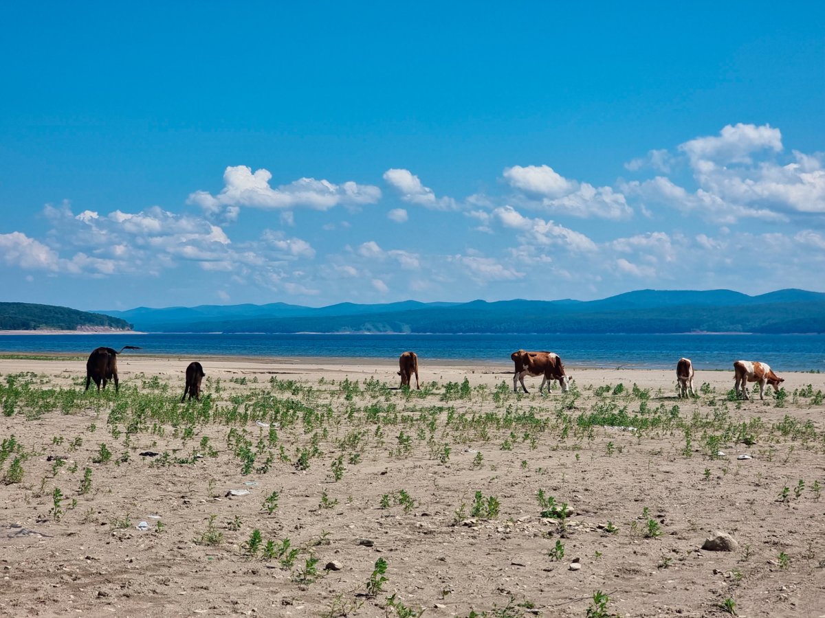 Приморск Красноярское море