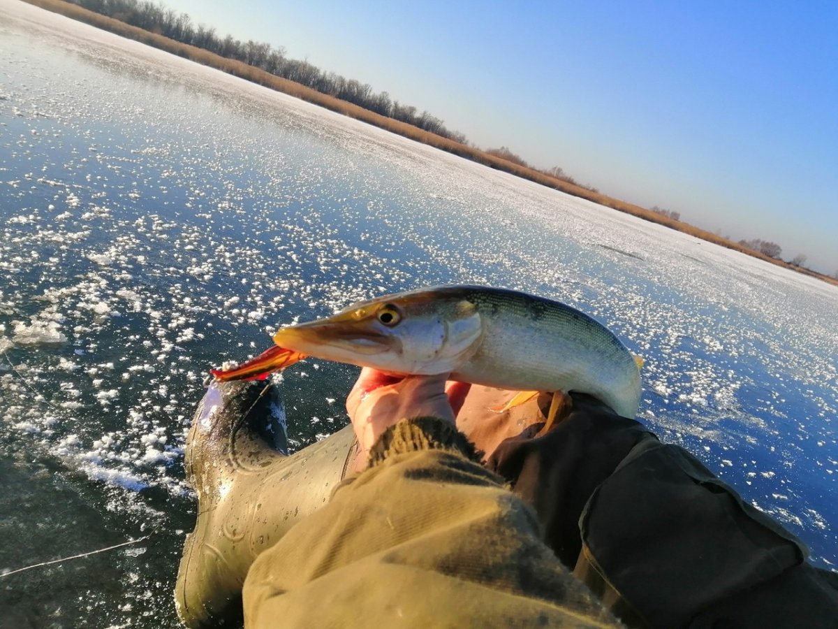 Красноярское водохранилище рыбалка