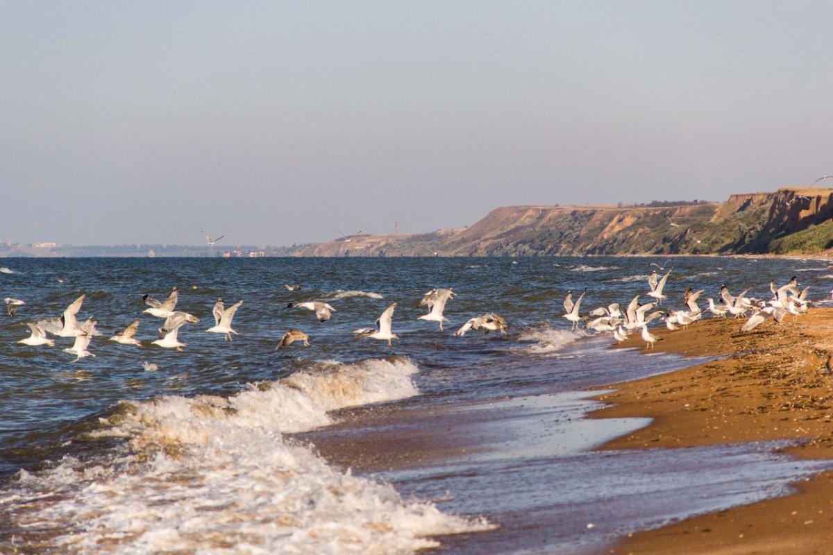 Кучугуры Краснодарский край