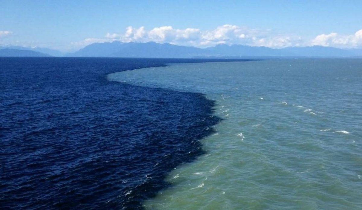 Скаген Дания два моря