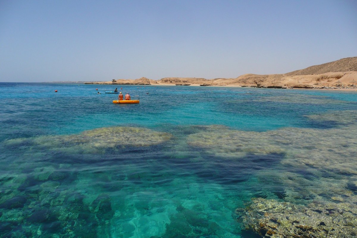 Шарм Эш Шейх красное море
