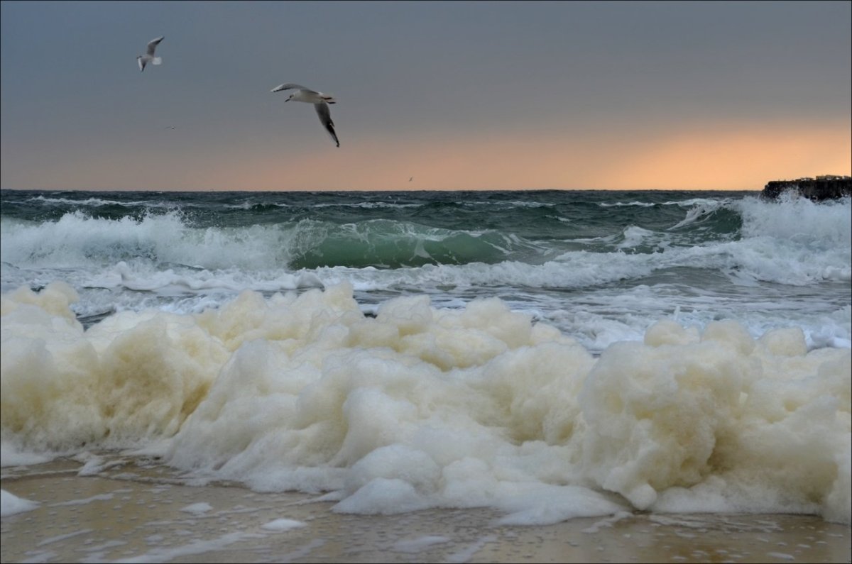 Море волны Чайка