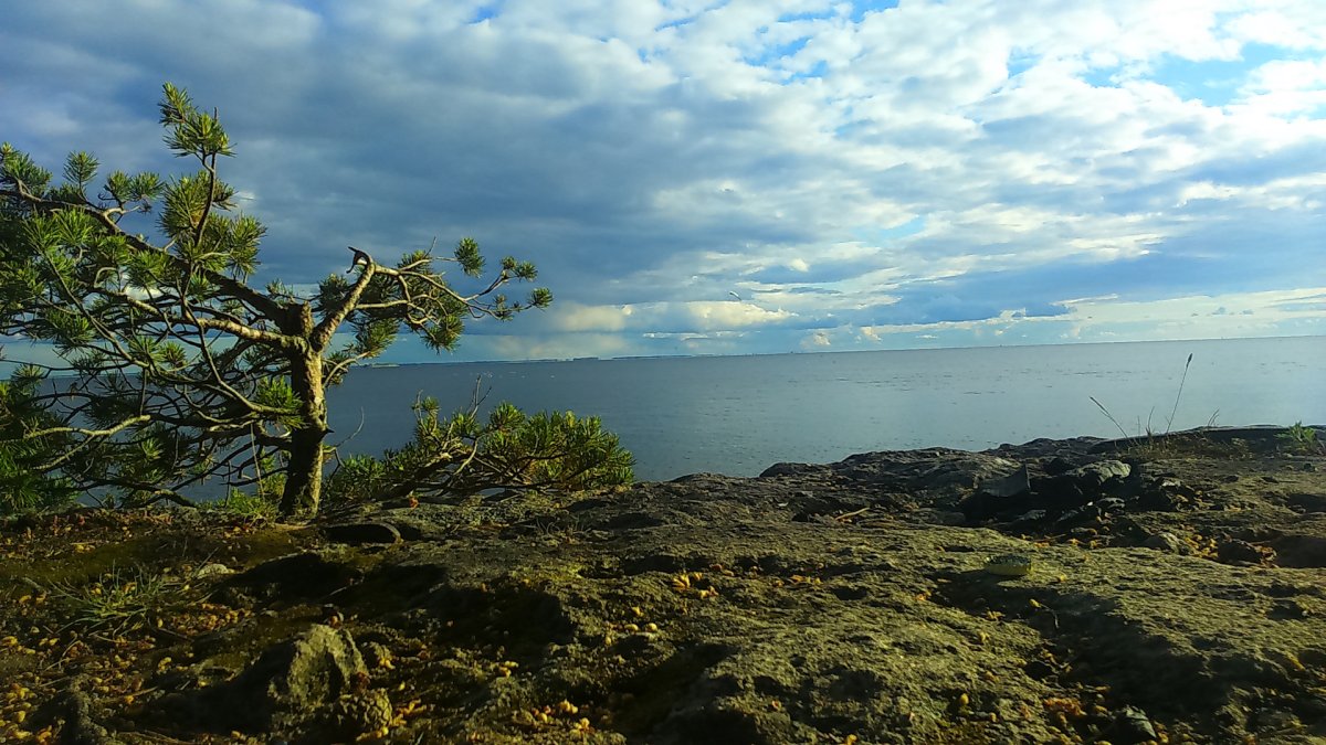 Берег Балтийского моря финский залив