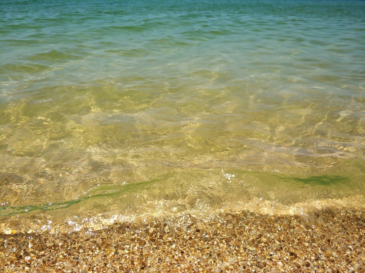 Азовское море чистая вода