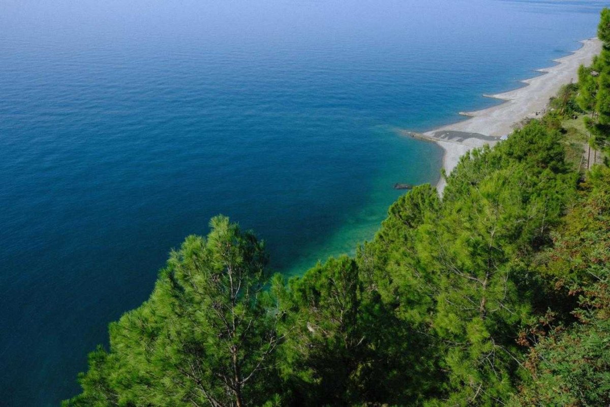 Цандрипш Абхазия море