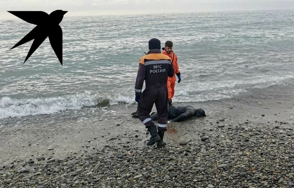 Сочи двое подростков унесло в море