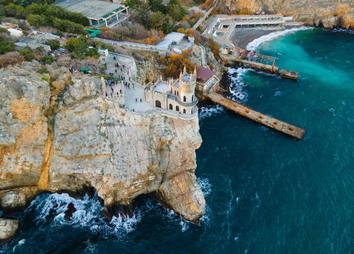 Ялта гнездо