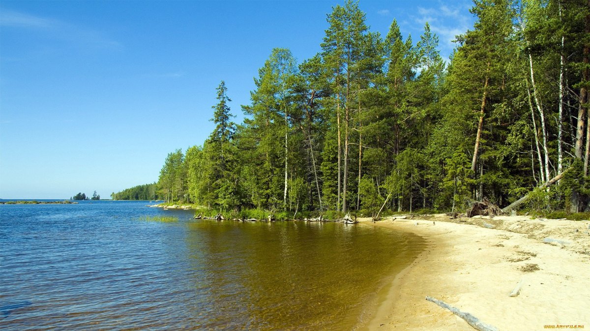 Озеро зеленое Лужский район