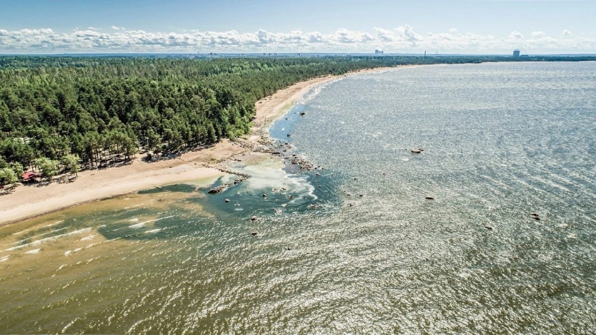 Пляж Сосновый Бор Ленинградская