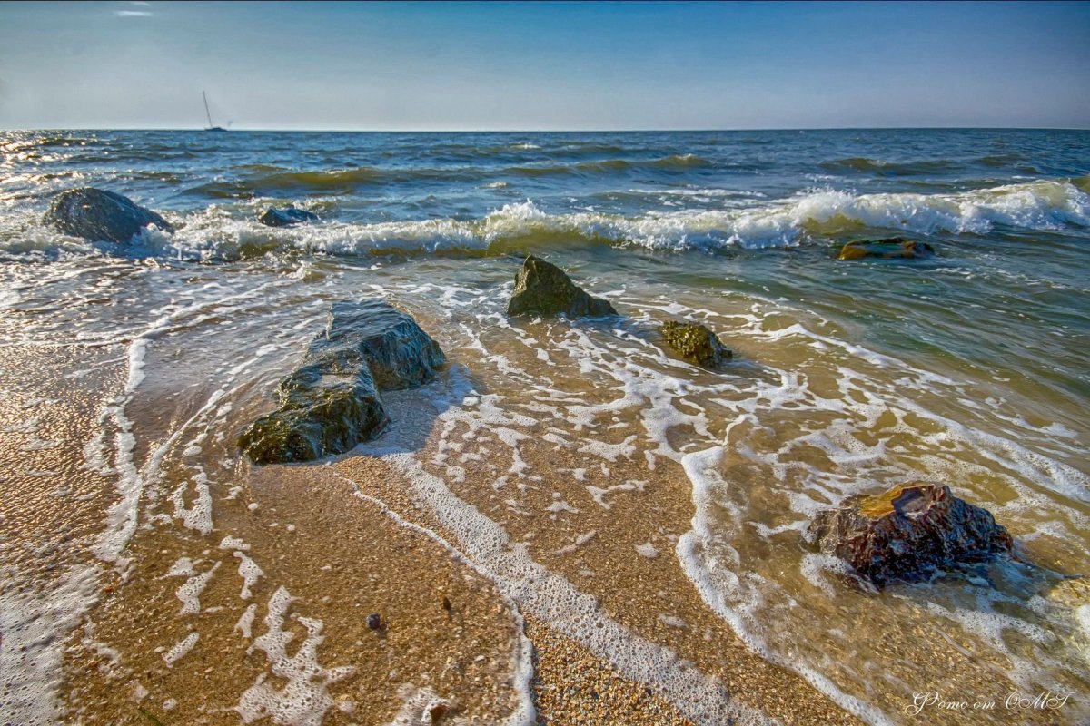 Страница азовского моря