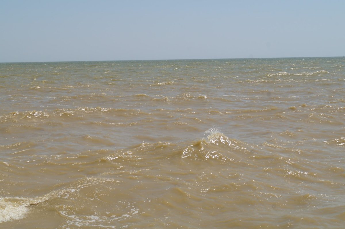 Поселок Седово на Азовском море