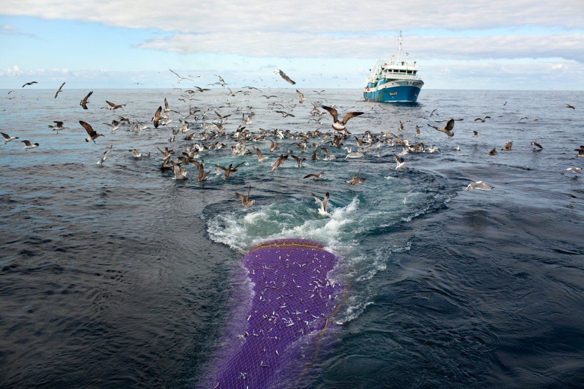 Берингово море экопроблемы
