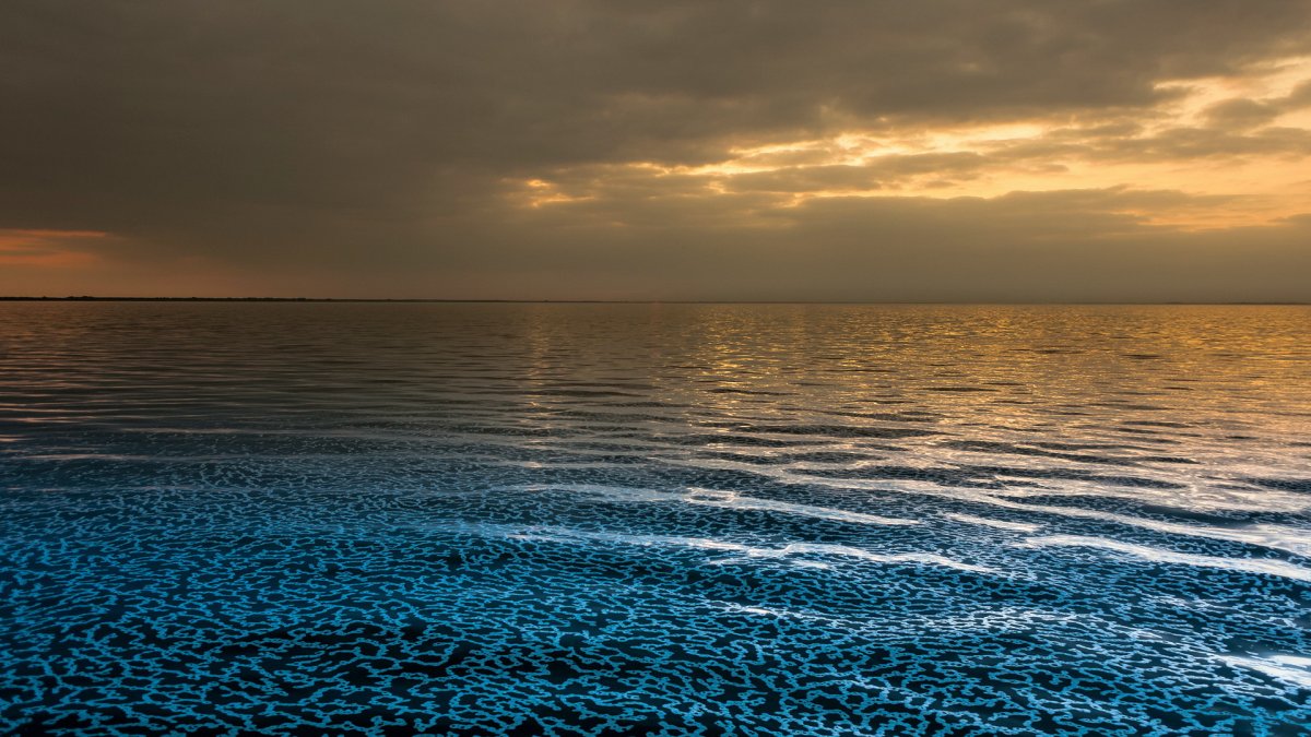Спокойное море