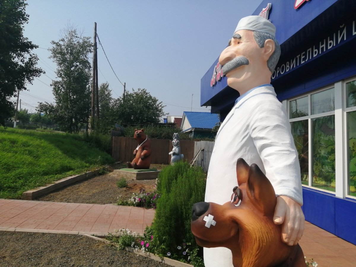 Айболит Братск