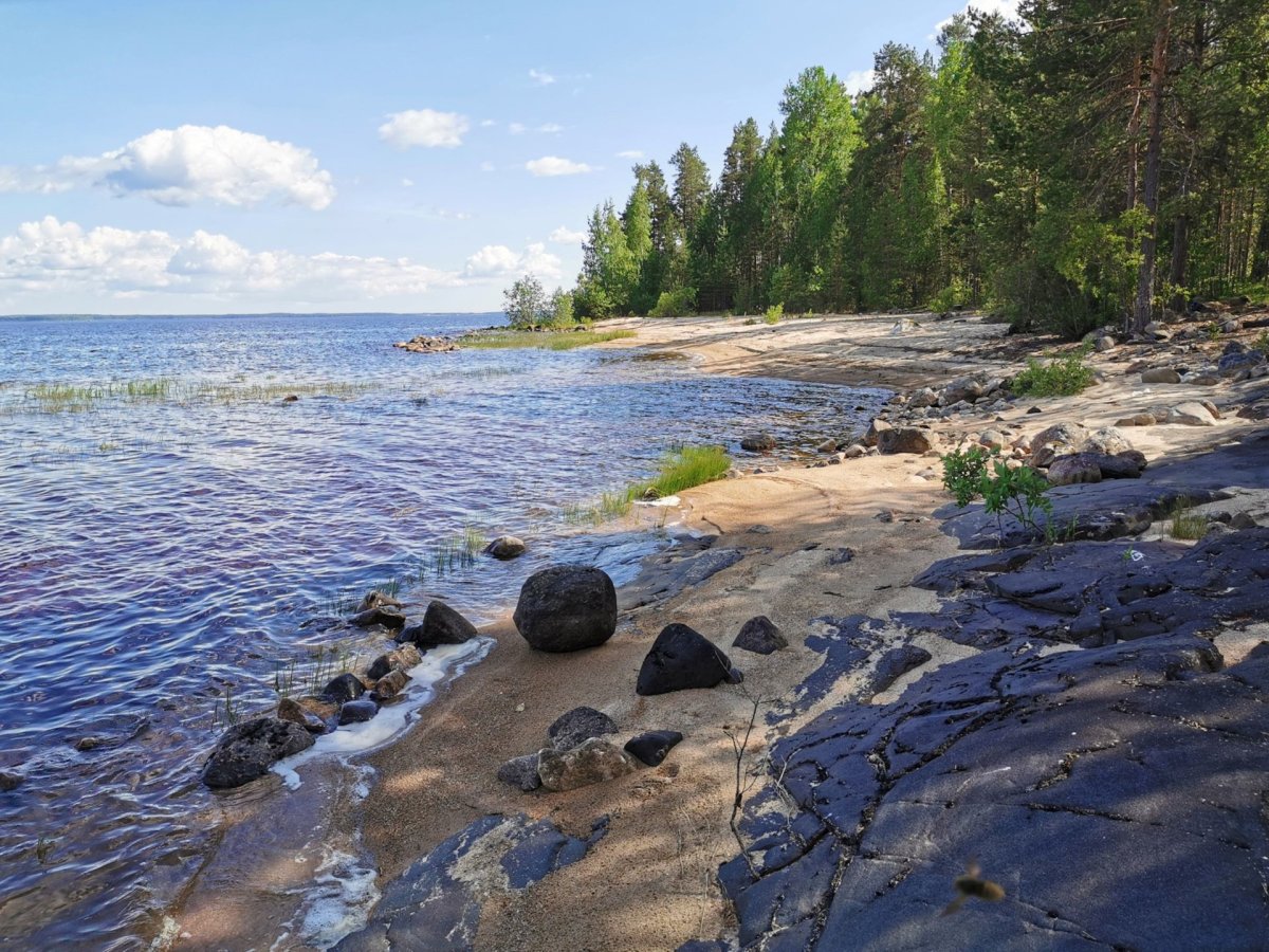 Берег белого моря Карелия