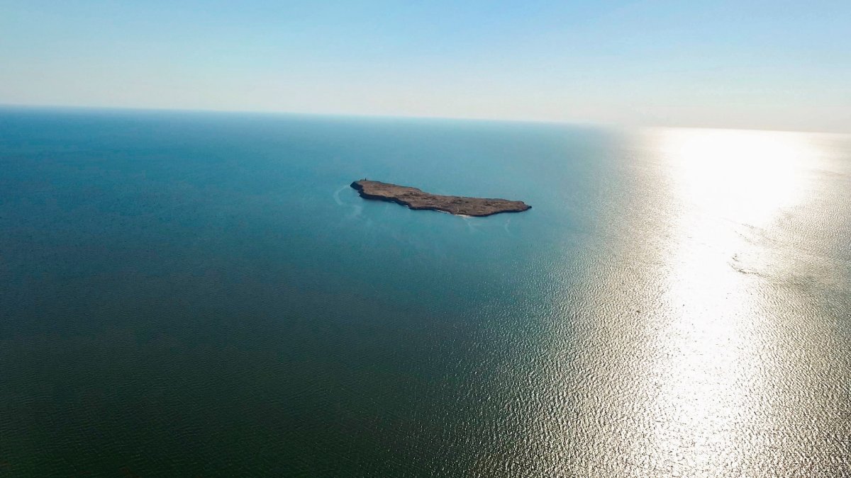 Море с птичьего полета