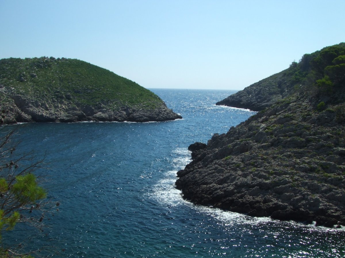 Остров змеиный в черном море