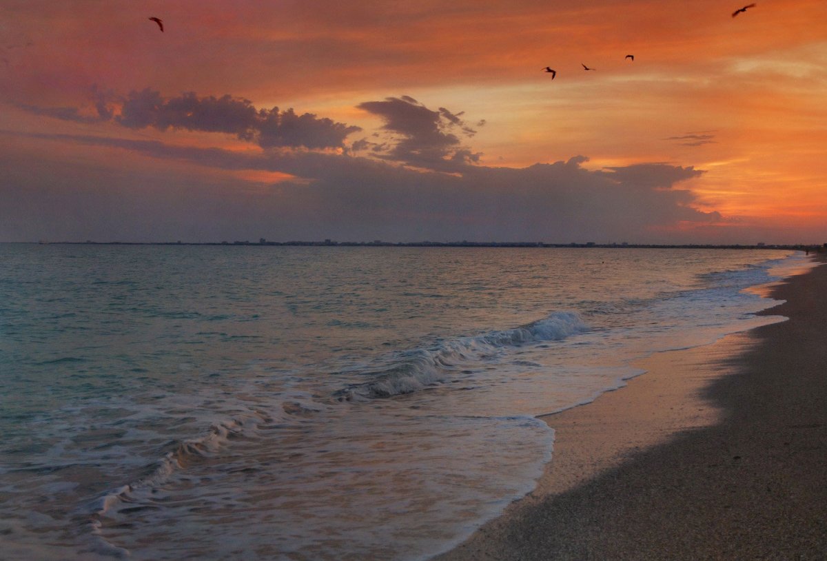 Саки Крым море