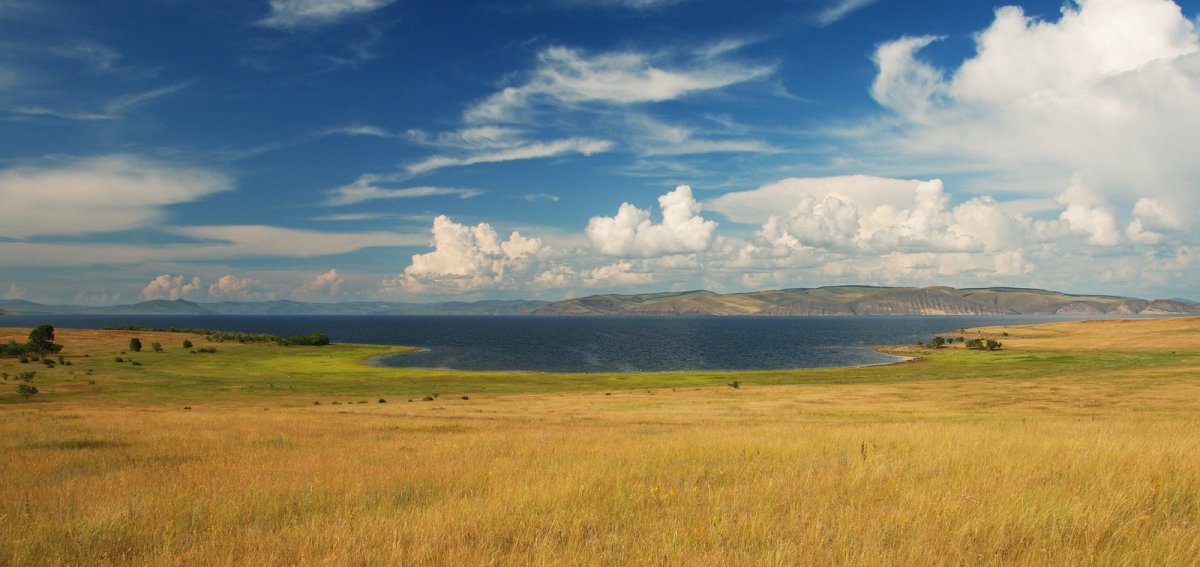 Барабинская степь