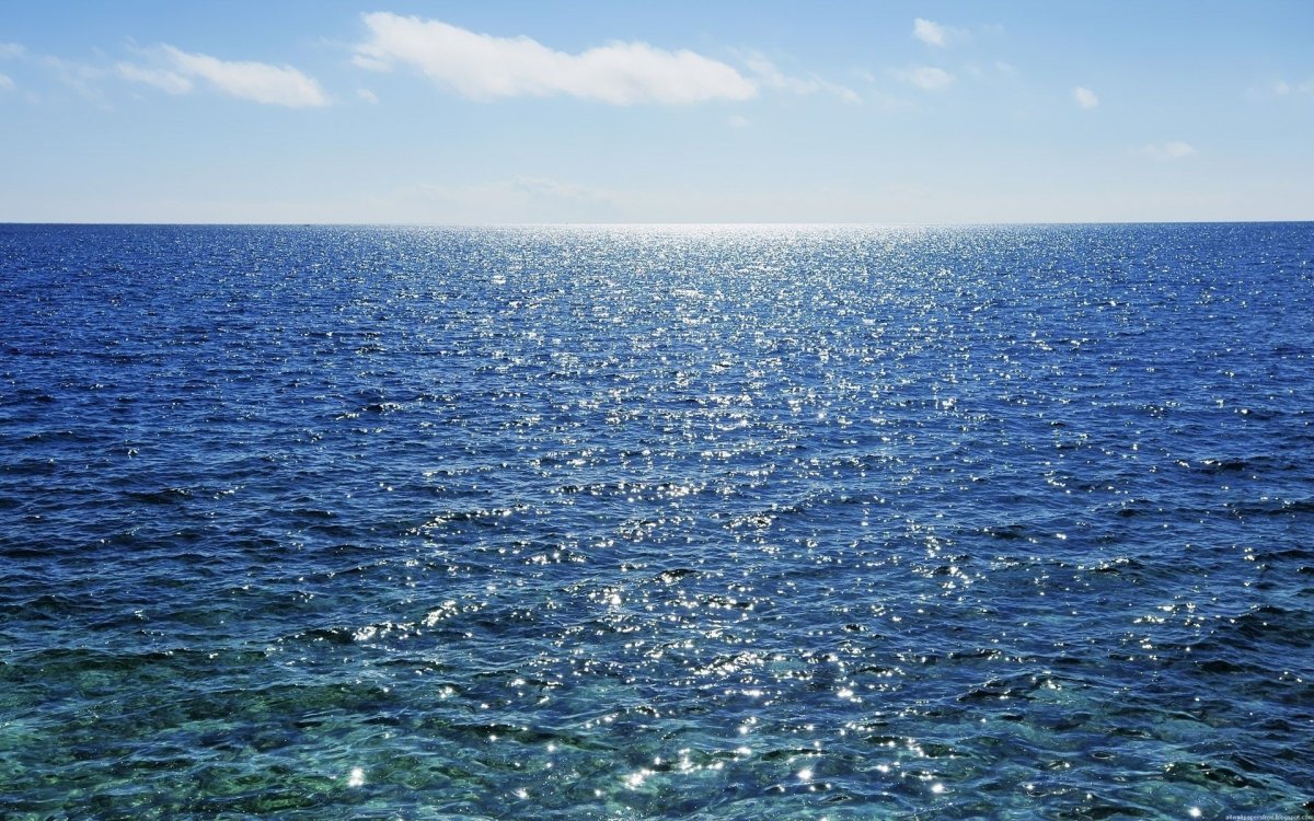 Безбрежное Саргассово море