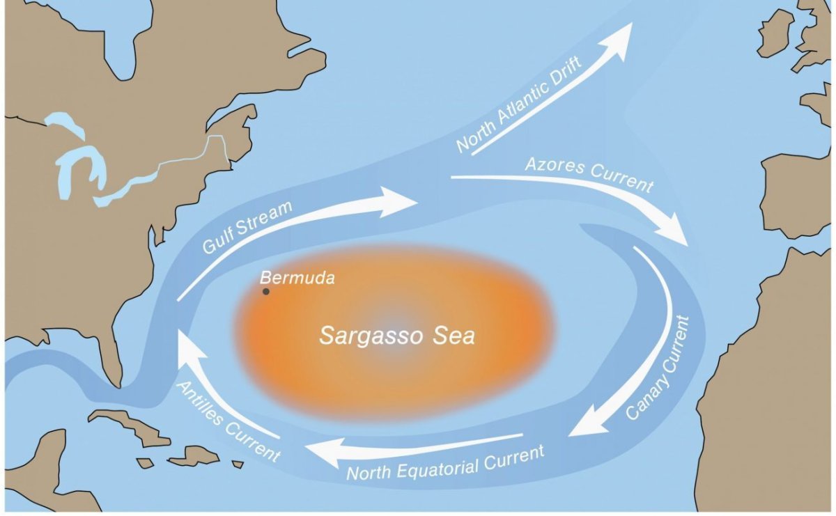 Саргассово море границы