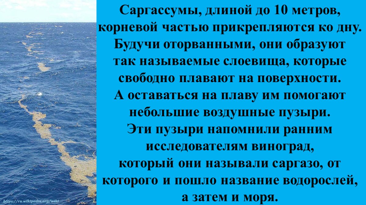 7 Класс на море