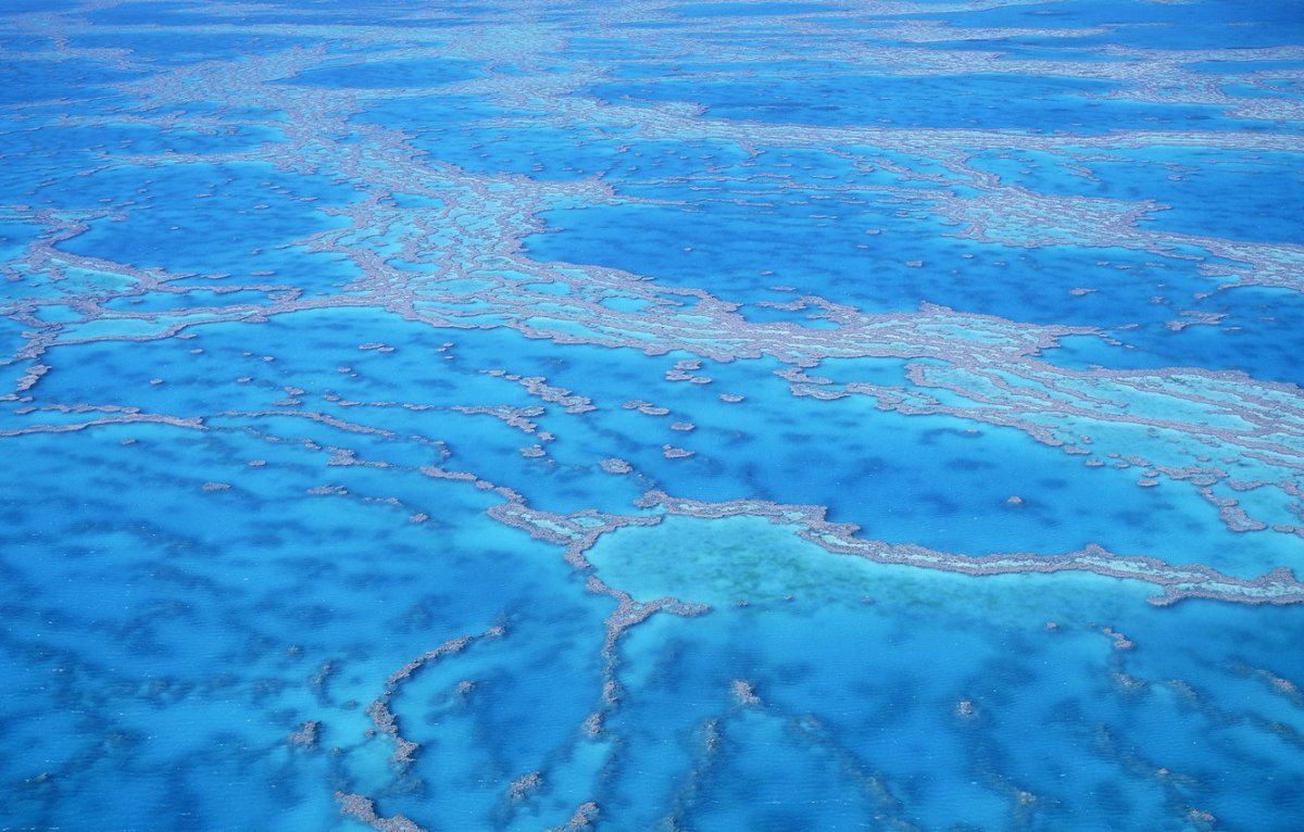 Саргассово море вода