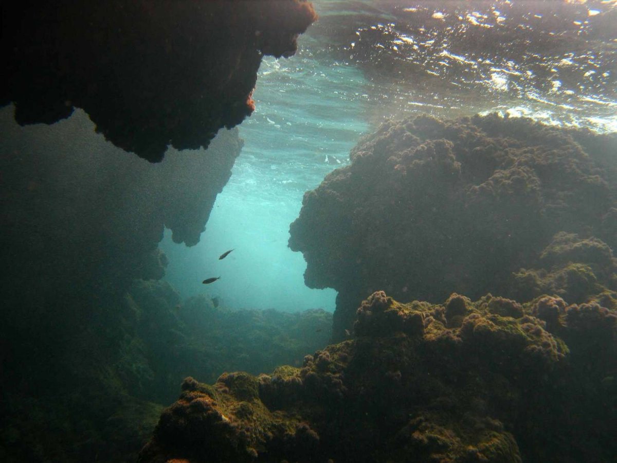 Средиземное море под водой