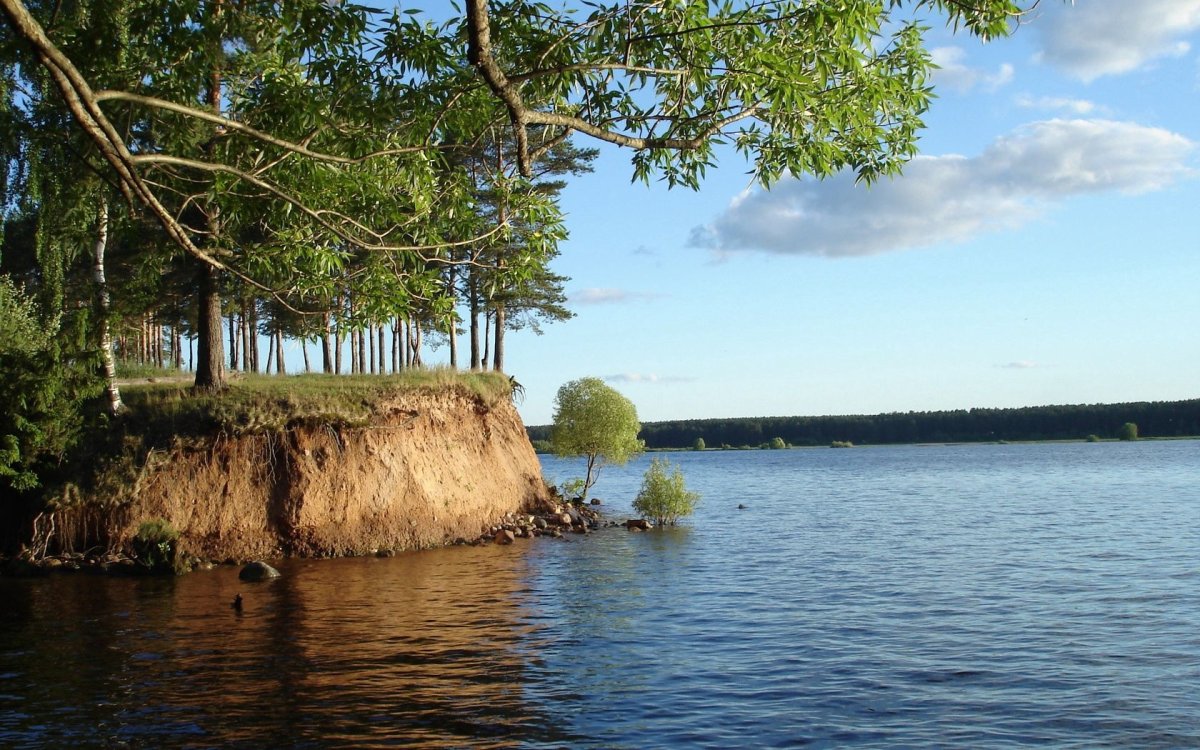 Фото Берега Реки Волги