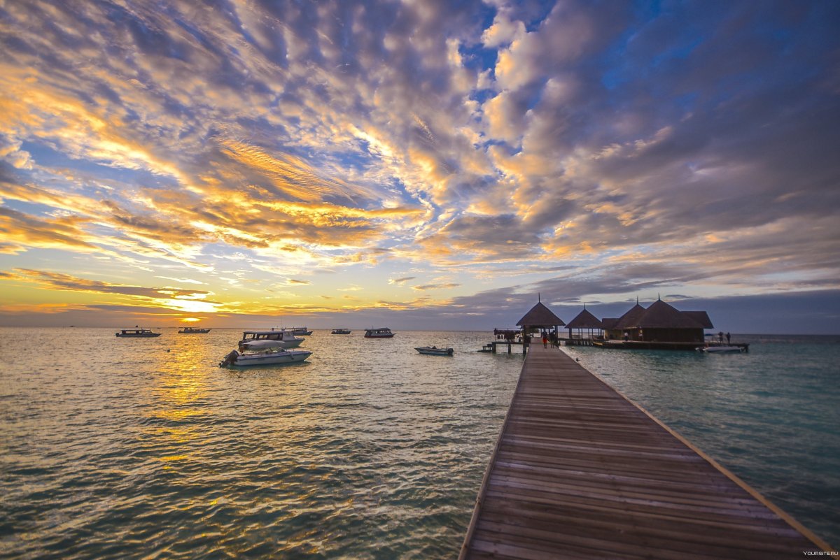 Jetty Sea
