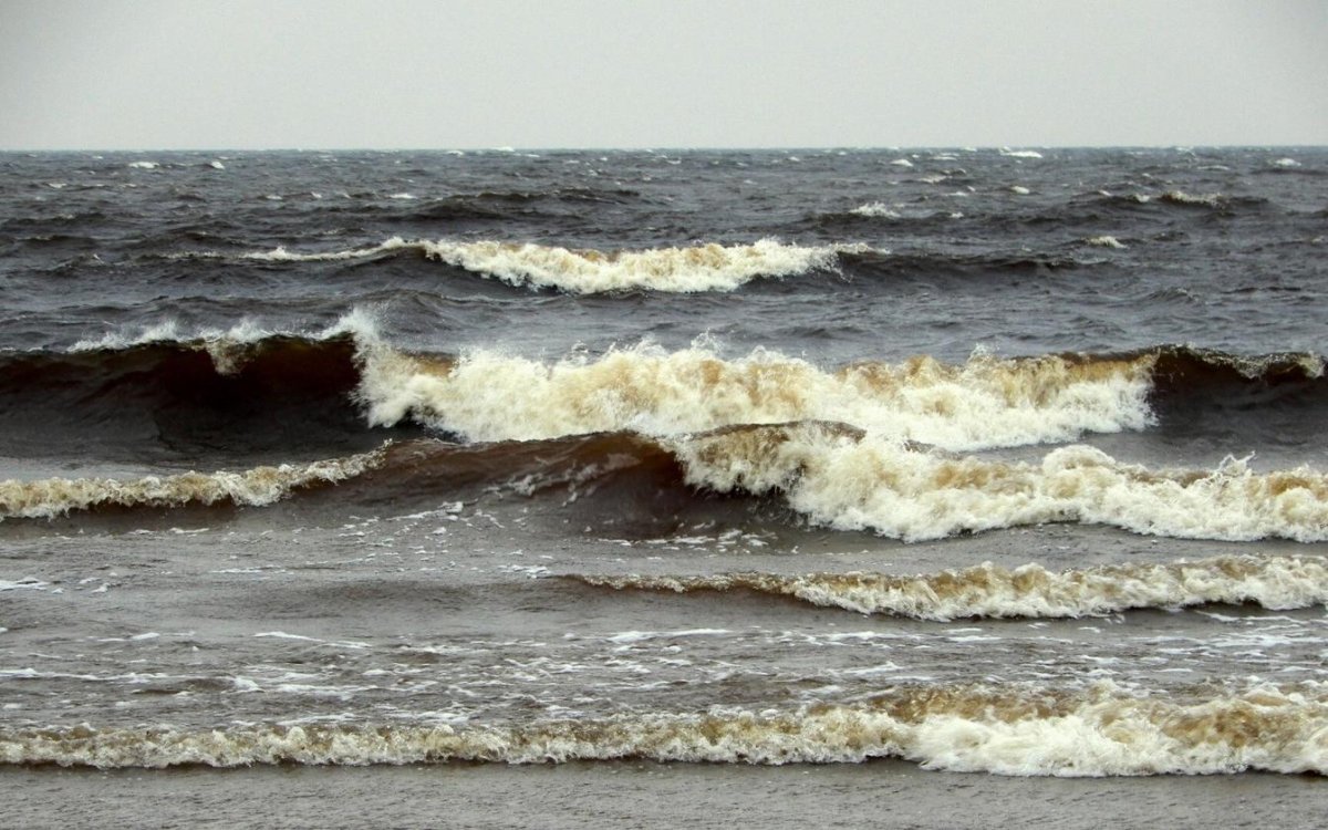 Море в ветреную погоду