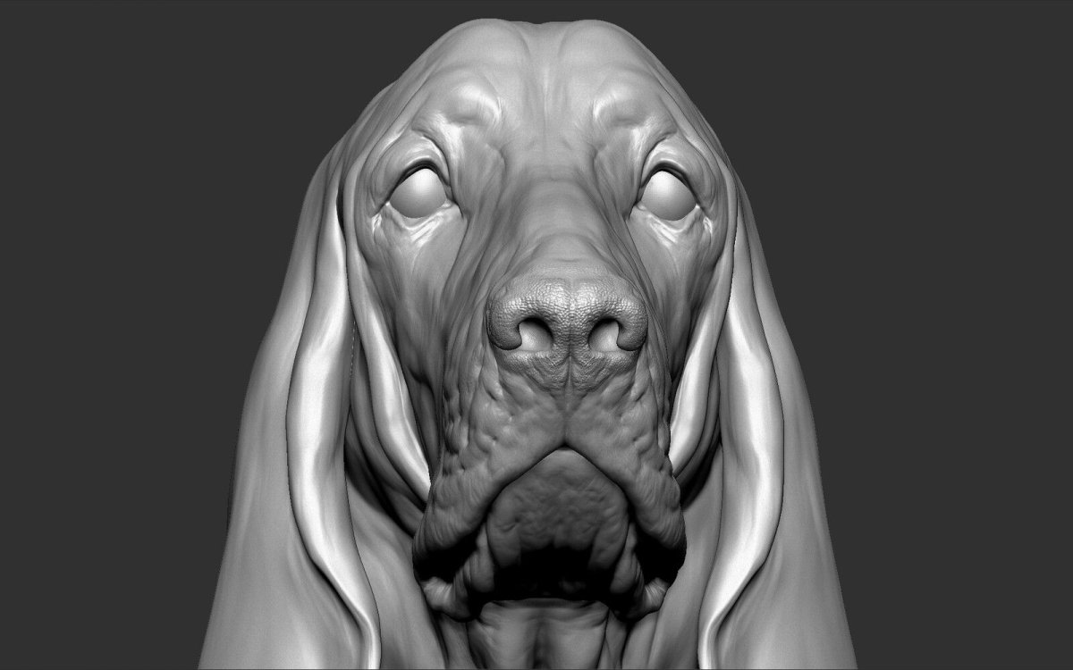 Zbrush собака