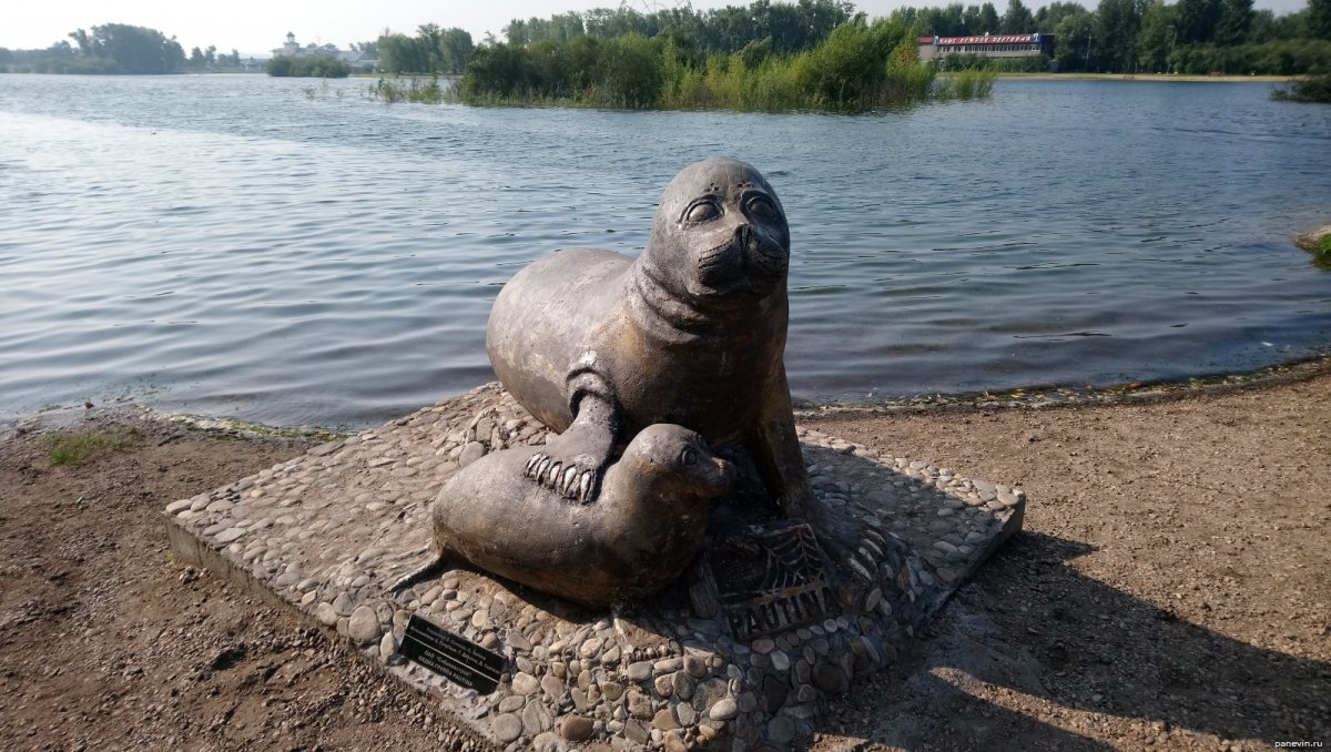 Памятник нерпе в Иркутске