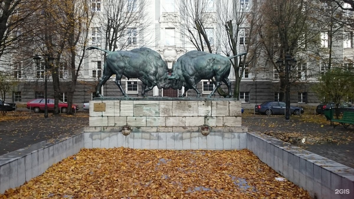 Памятник зубрам в Калининграде