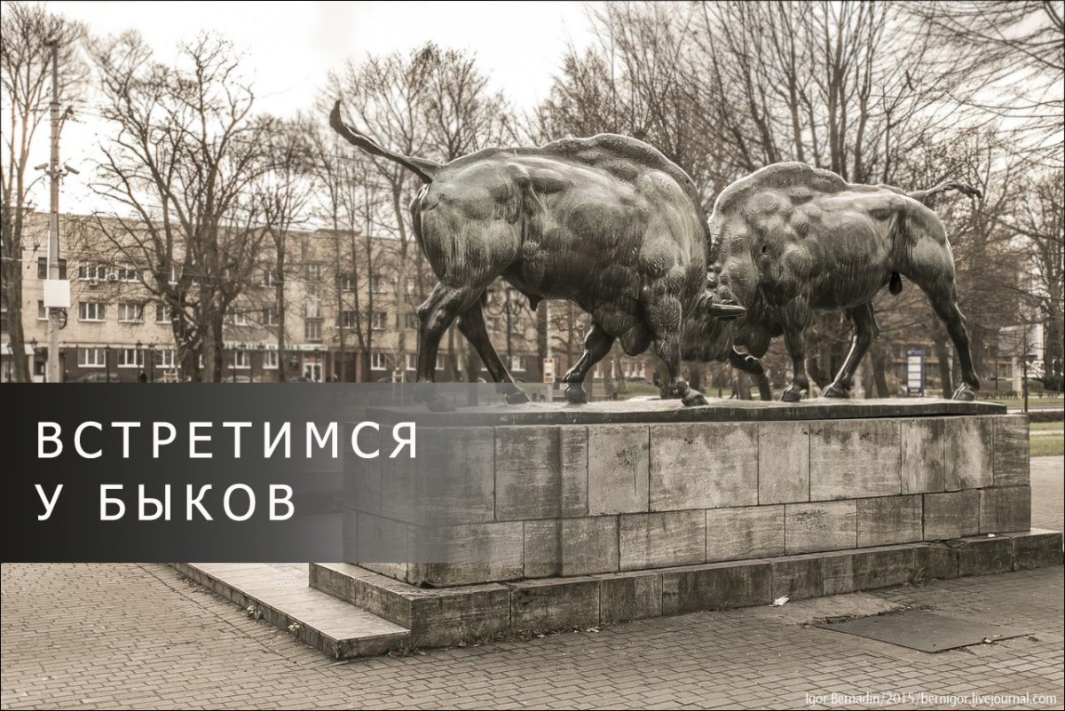 Бодающиеся быки памятник