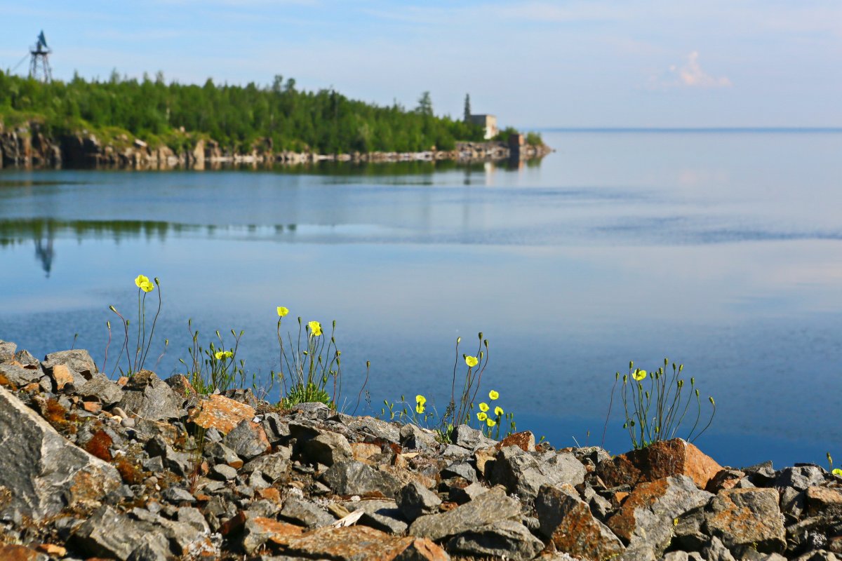 Норильск природа