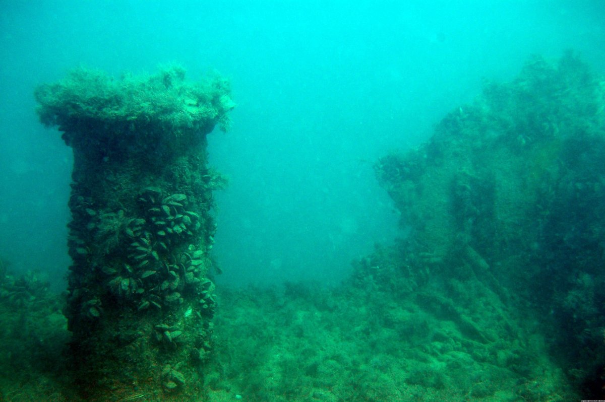 Дно черного моря сероводород