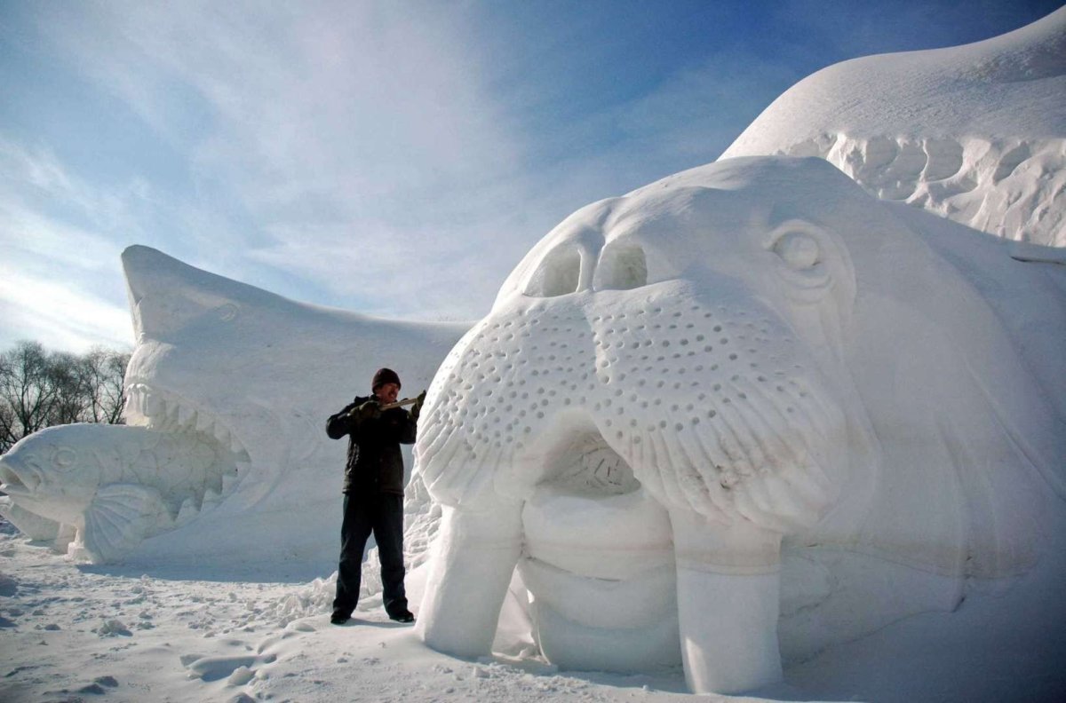 Снежные фигуры. Интересные скульптуры из снега. Скульптура из снега кит. Скульптура из снега морж. Самые большие фигуры из снега.