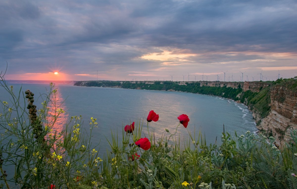 Болгария сарматское море пейзаж
