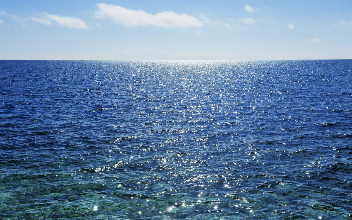 Безбрежное Саргассово море