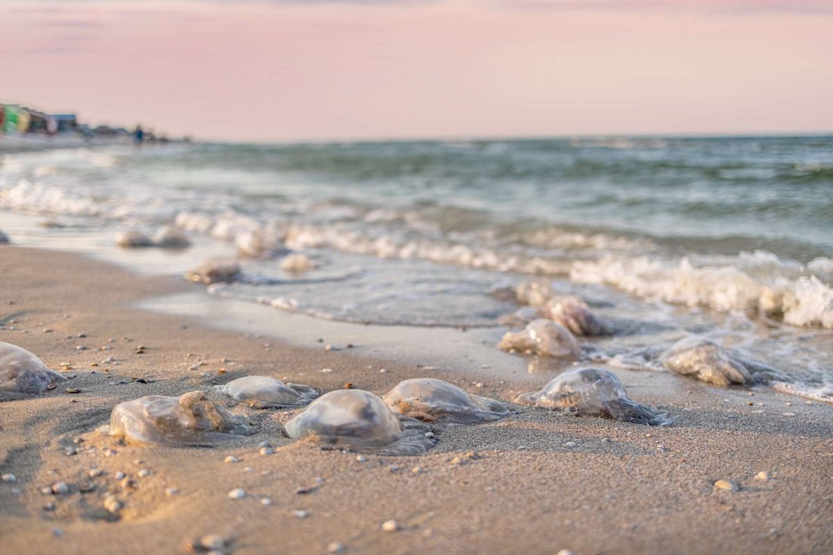 Азовское море голубая вода