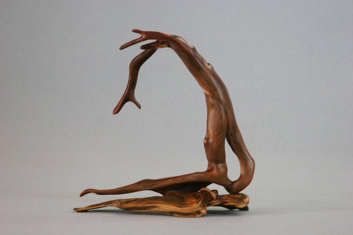 Человек из коряги