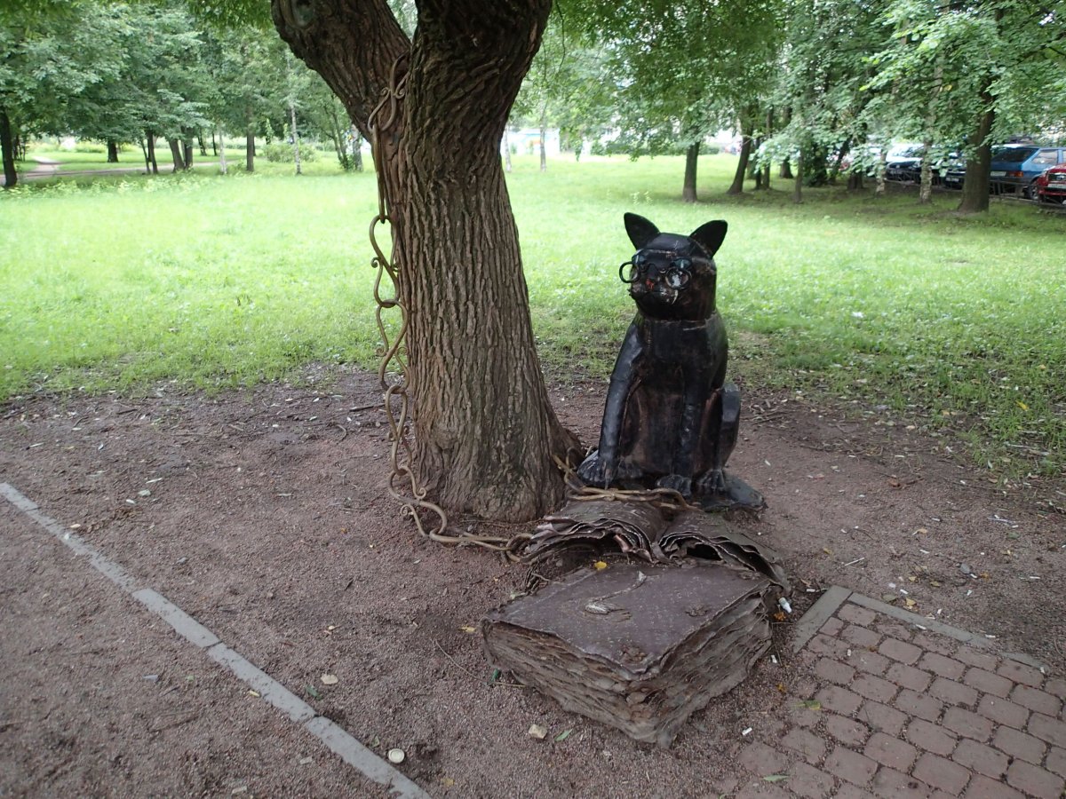 Учёный кот в Санкт-Петербурге