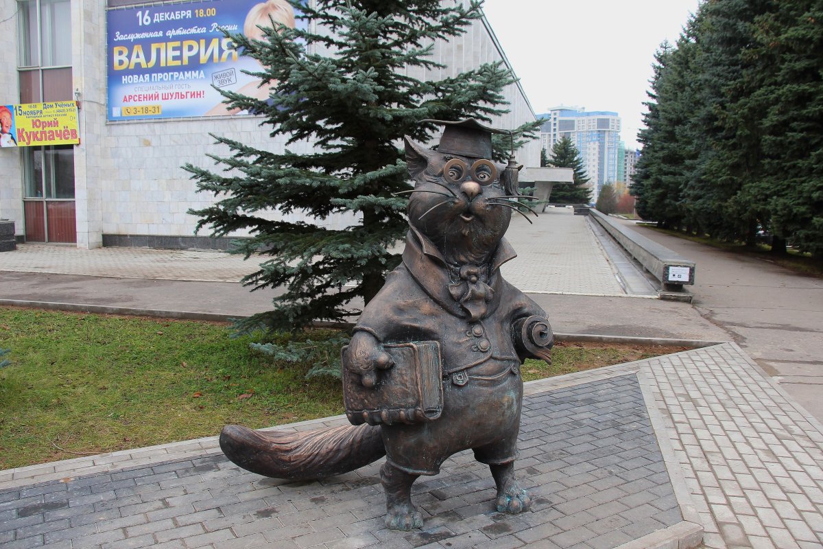 Кот учёный Обнинск